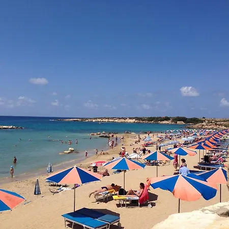 Coralbay 101 Daire Mercan Koyu