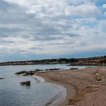 Coralbay 101 Daire Mercan Koyu